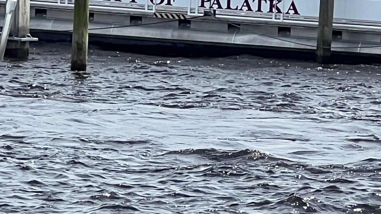 Photo of Others in Palatka