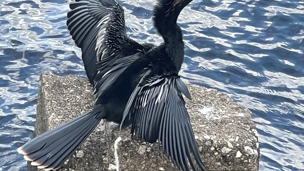 Photo of Others in Palatka