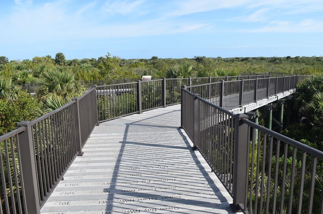 Photo of Outdoor in Melbourne Beach