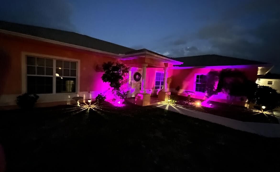 Photo of Outdoor in Joel