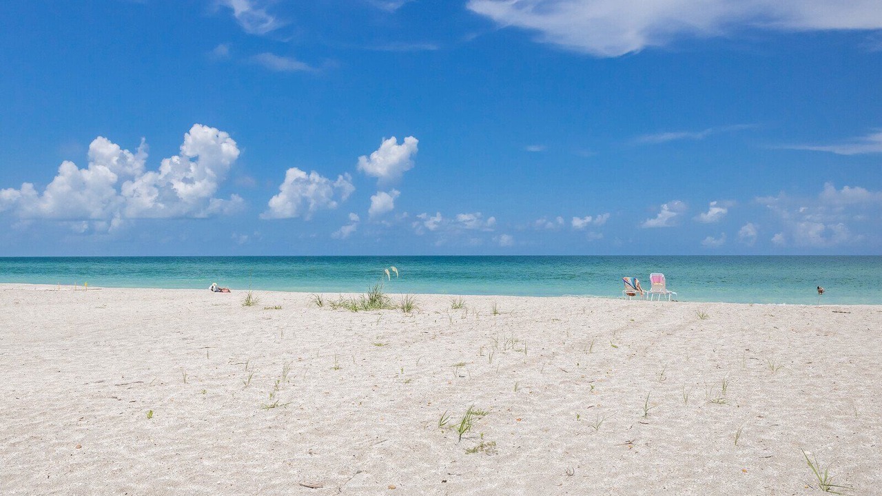 Photo of Others in Boca Grande