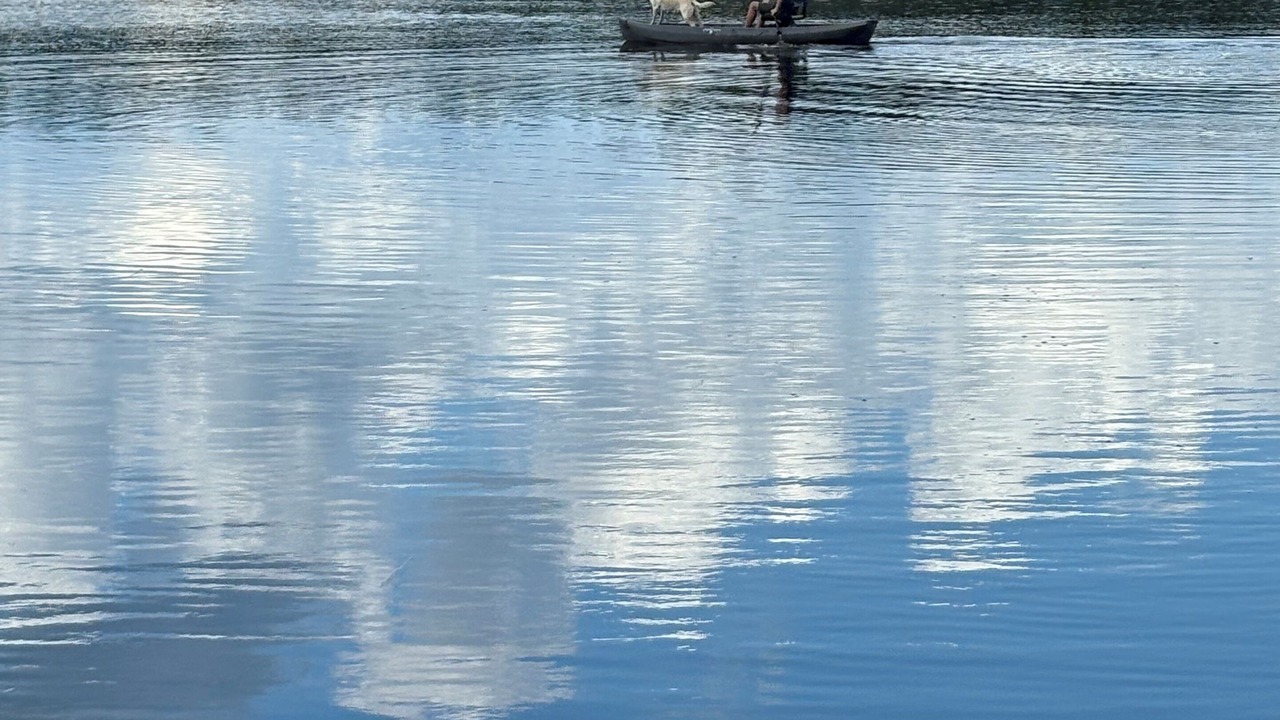 Photo of Others in Carrabelle