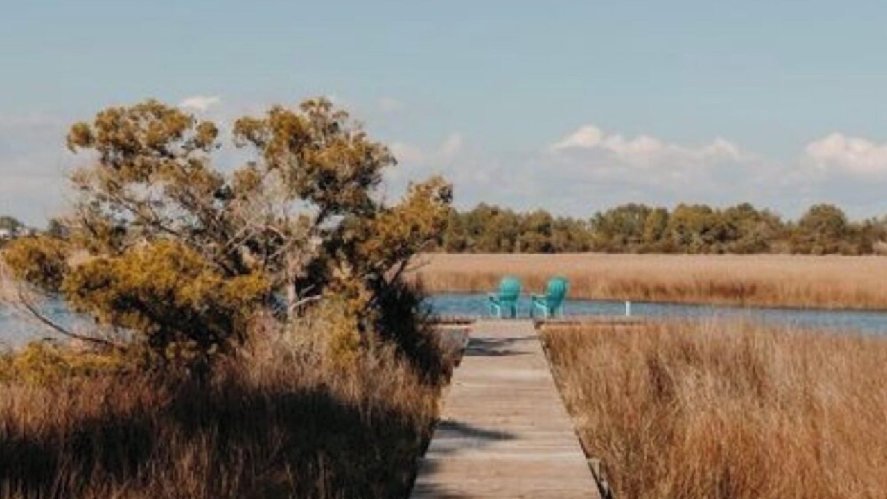 Photo of Others in Carrabelle