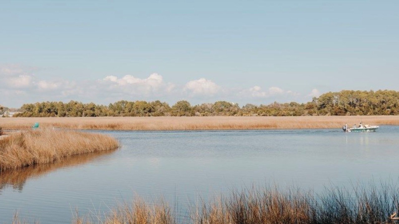 Photo of Others in Carrabelle