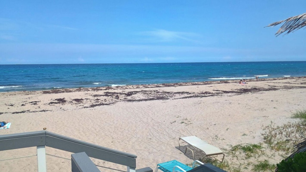 Photo of Others in Ocean Ridge