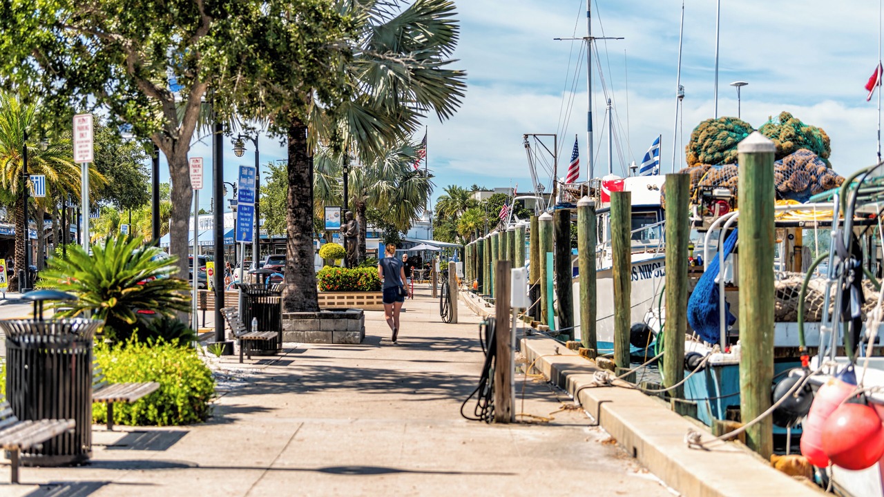 Photo of Others in Tarpon Springs
