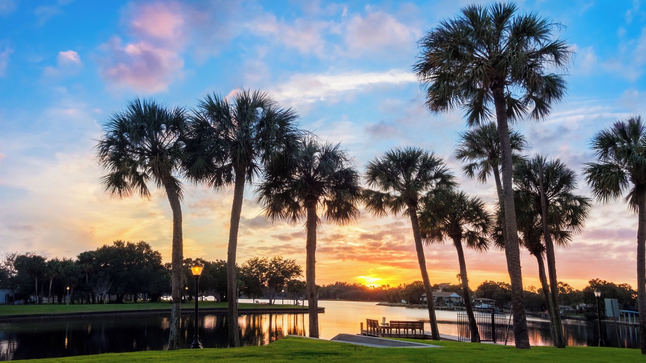 Photo of Others in Tarpon Springs