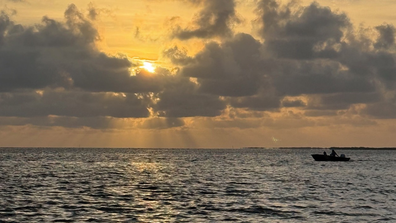 Photo of Others in Chassahowitzka