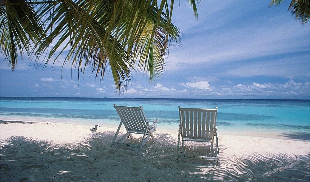 Photo of Others in Sanibel