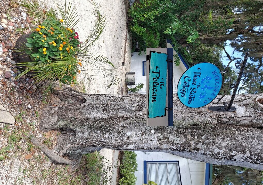 Photo of Outdoor in Crystal River