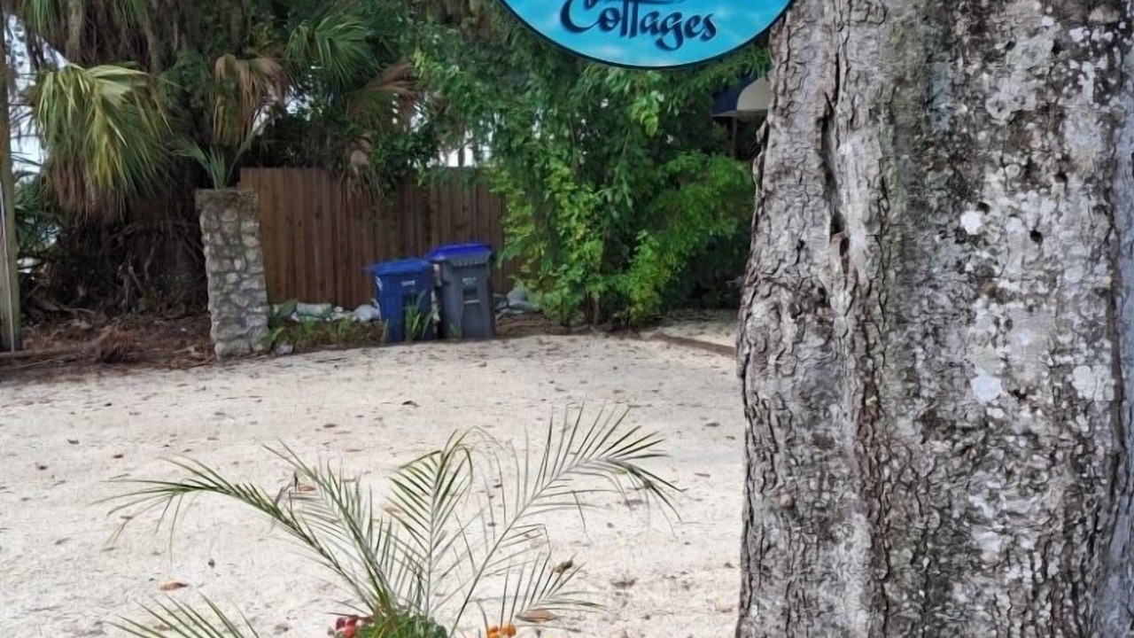 Photo of Outdoor in Crystal River