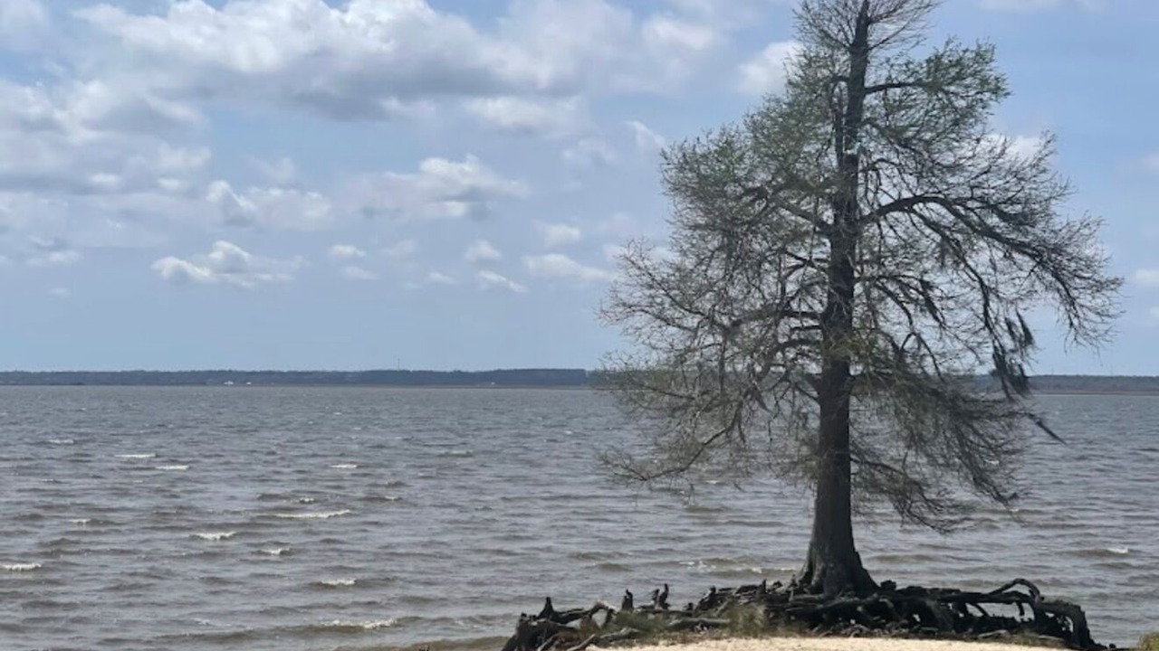Photo of Others in Florida Panhandle