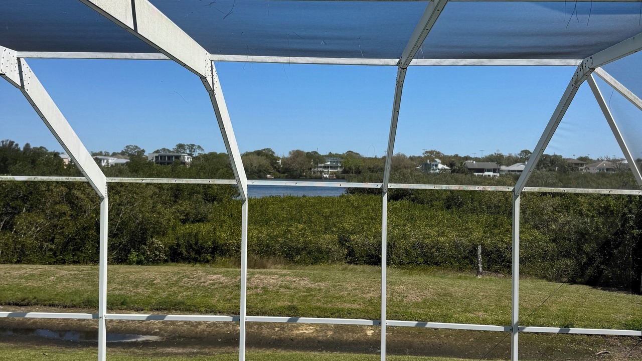 Photo of Outdoor in Palm Harbor