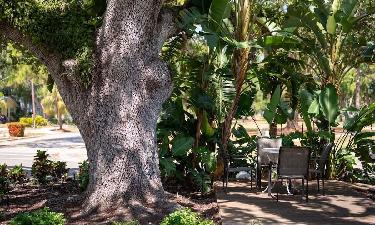 Photo of Outdoor in Gillespie Park