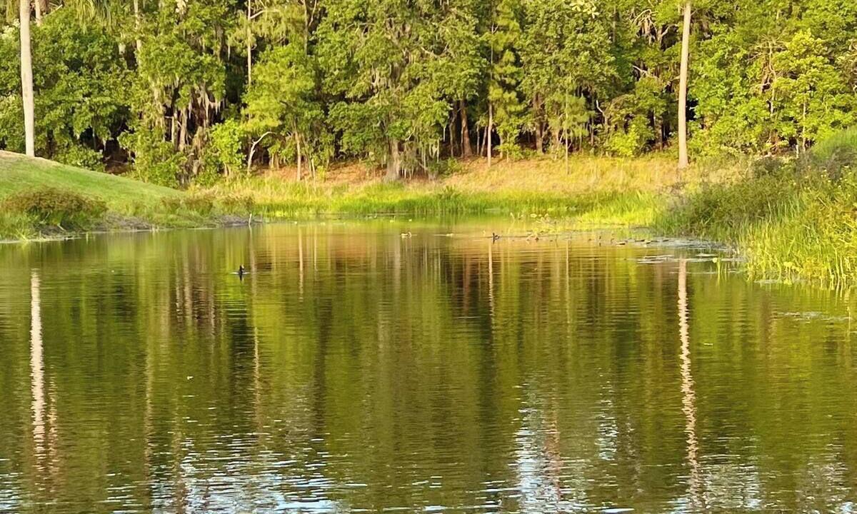 Photo of Others in Crooked Lake