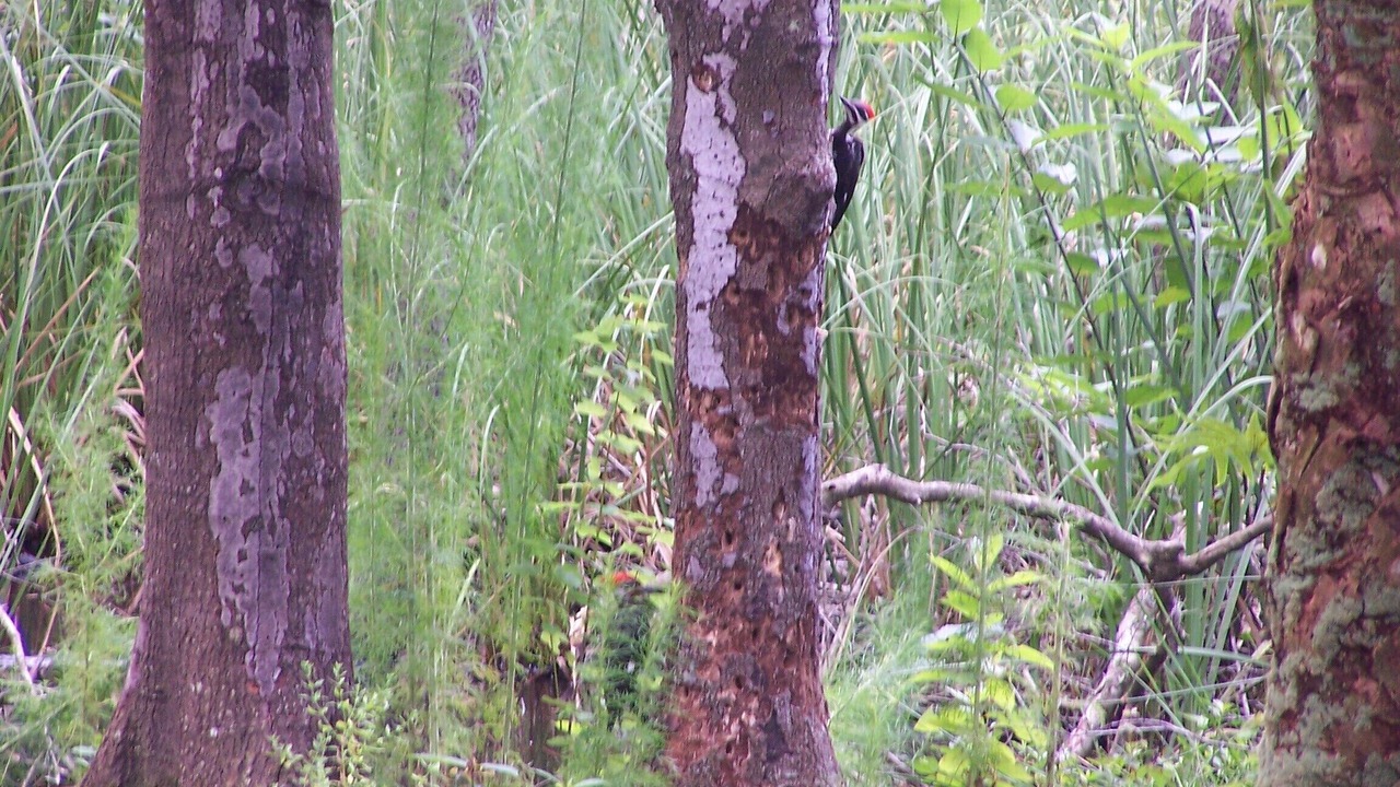 Photo of Others in Wimauma