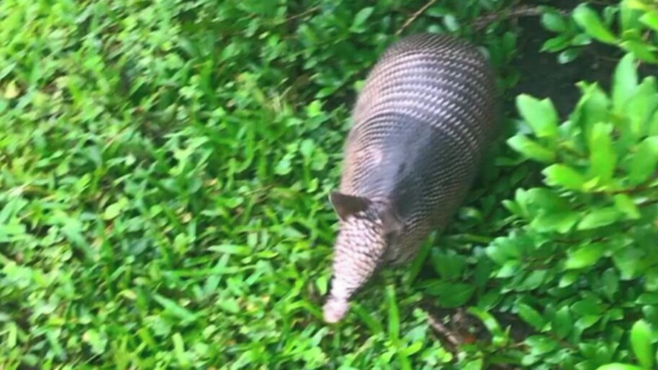 Photo of Others in Wimauma
