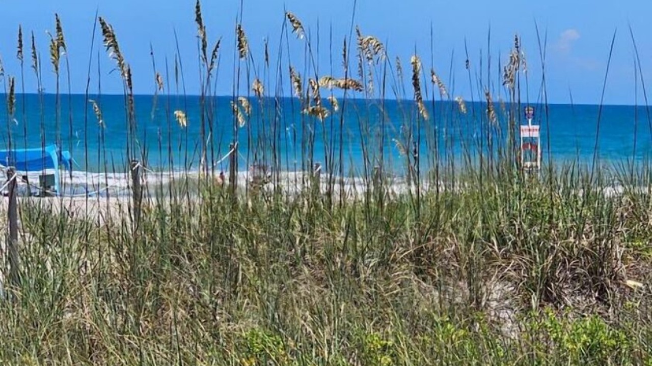 Photo of Others in Cape Caneveral Beach Gardens