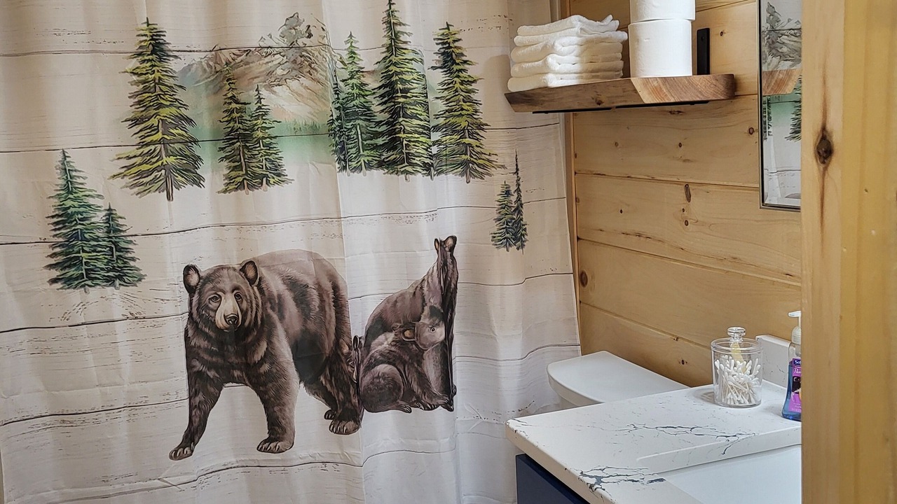 Photo of Bathroom in Blairsville