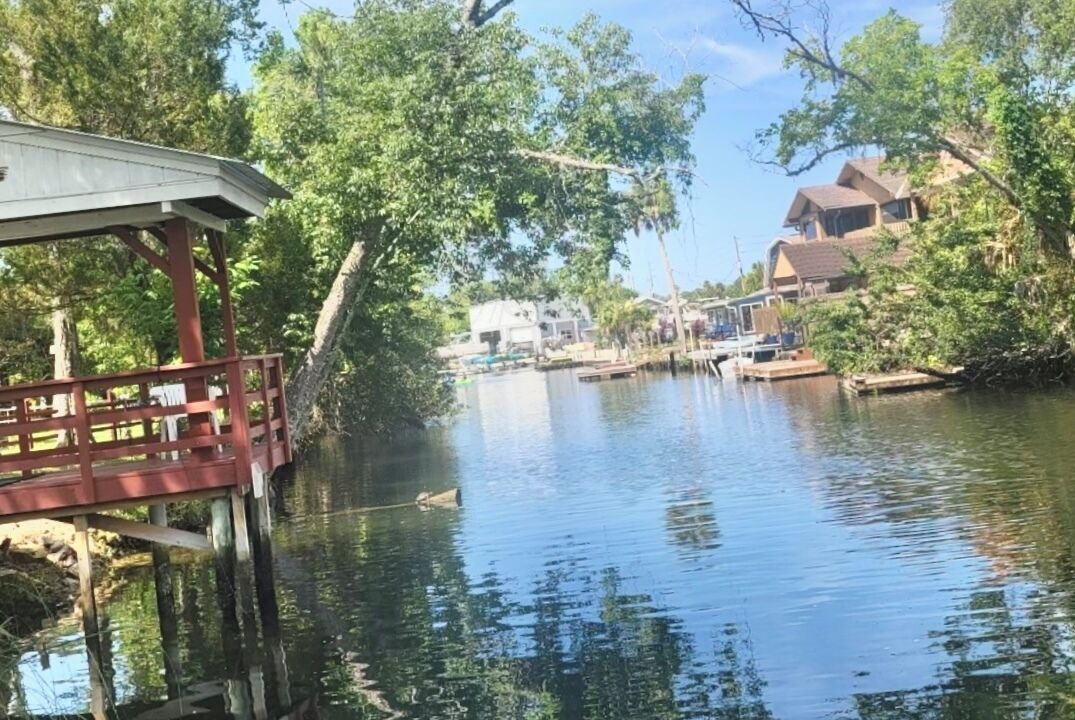 Photo of Others in Weeki Wachee Gardens
