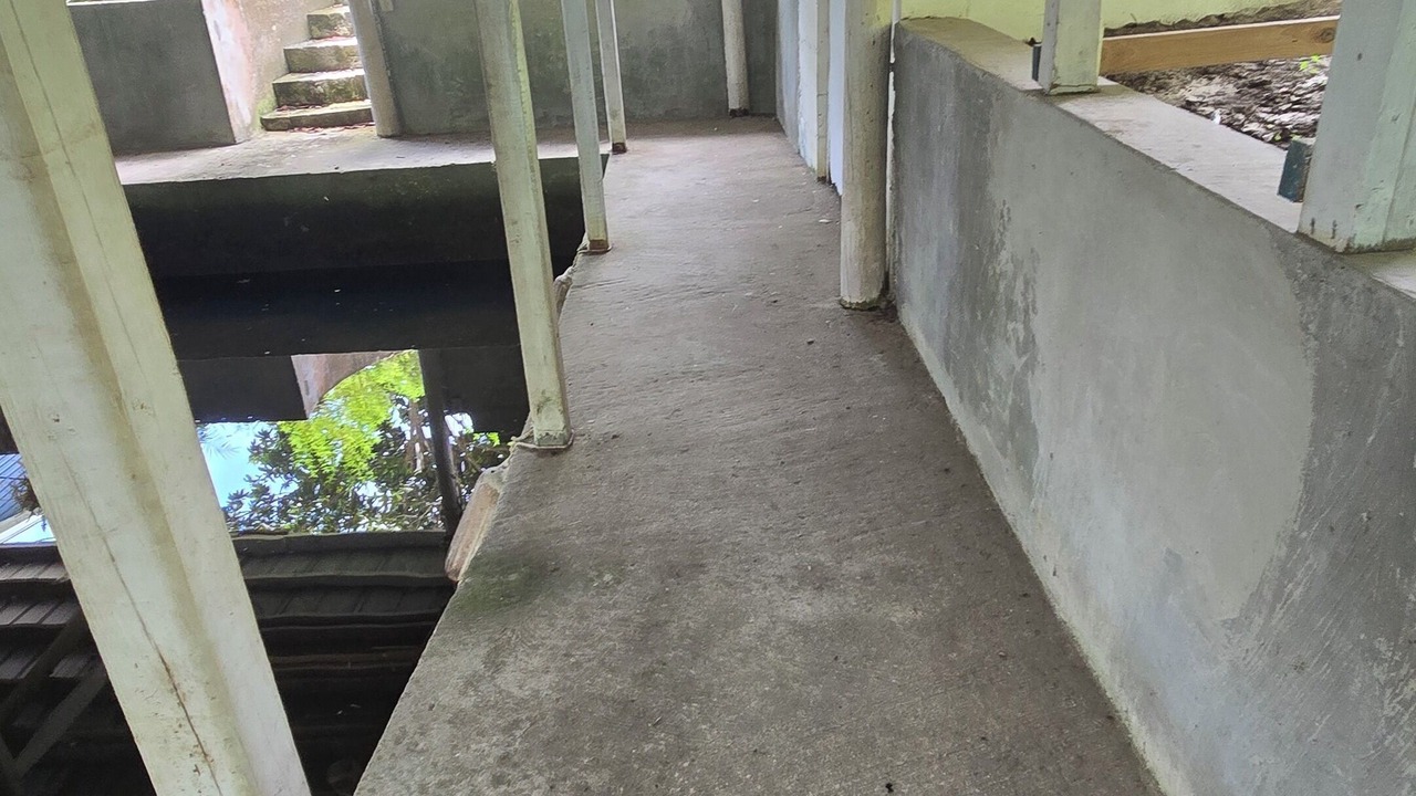 Photo of Outdoor in Chassahowitzka