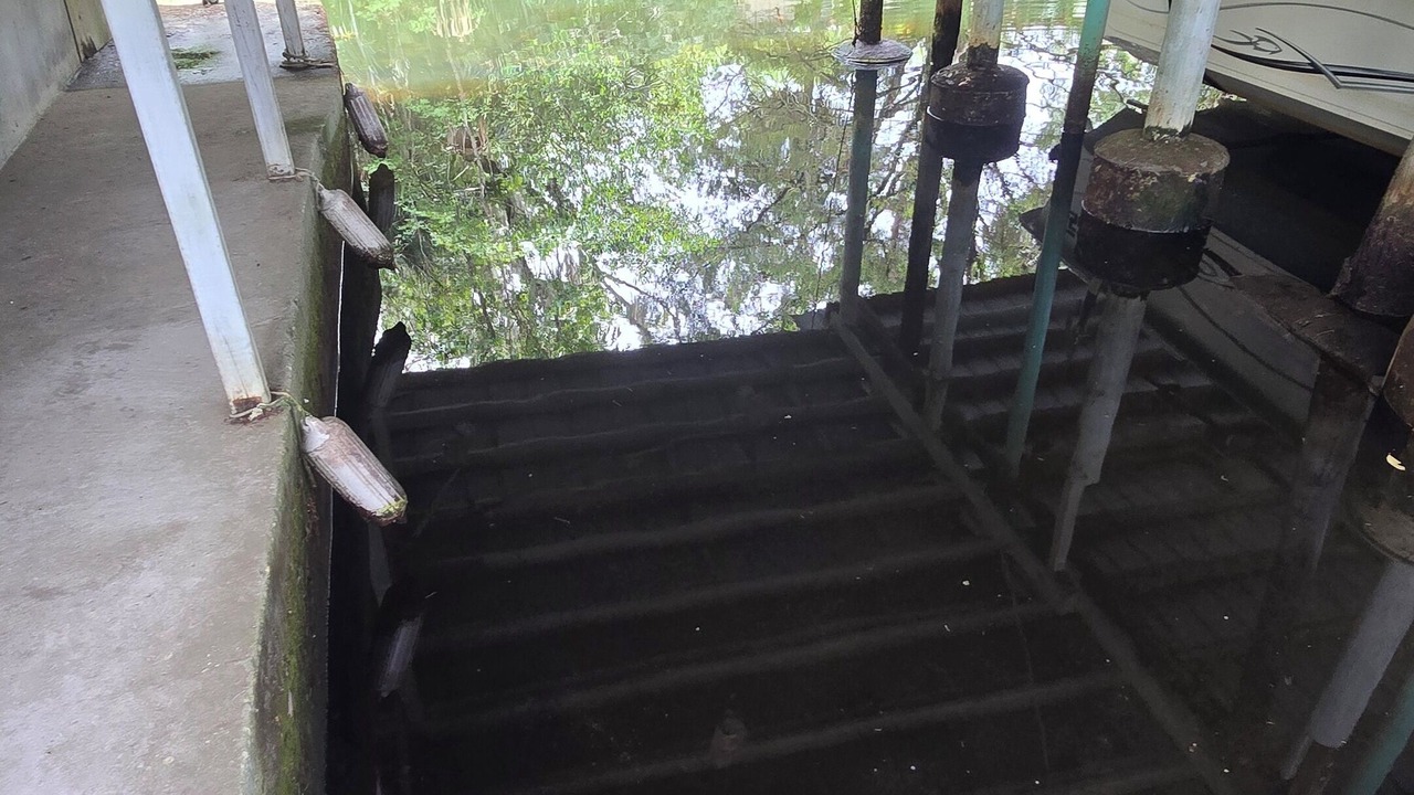 Photo of Others in Chassahowitzka