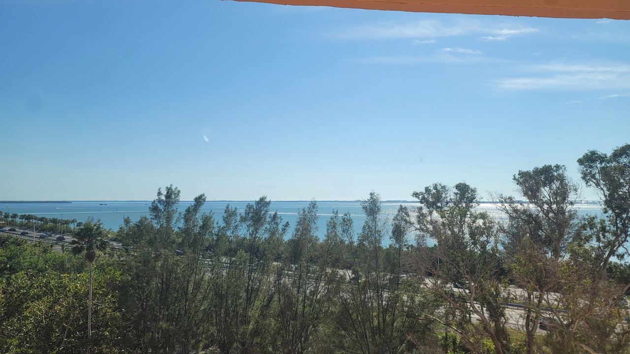 Photo of Others in Pinellas Point