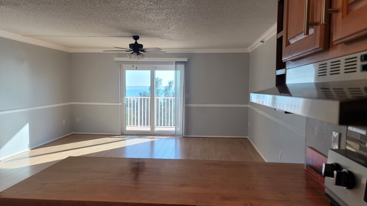Photo of Others in Pinellas Point
