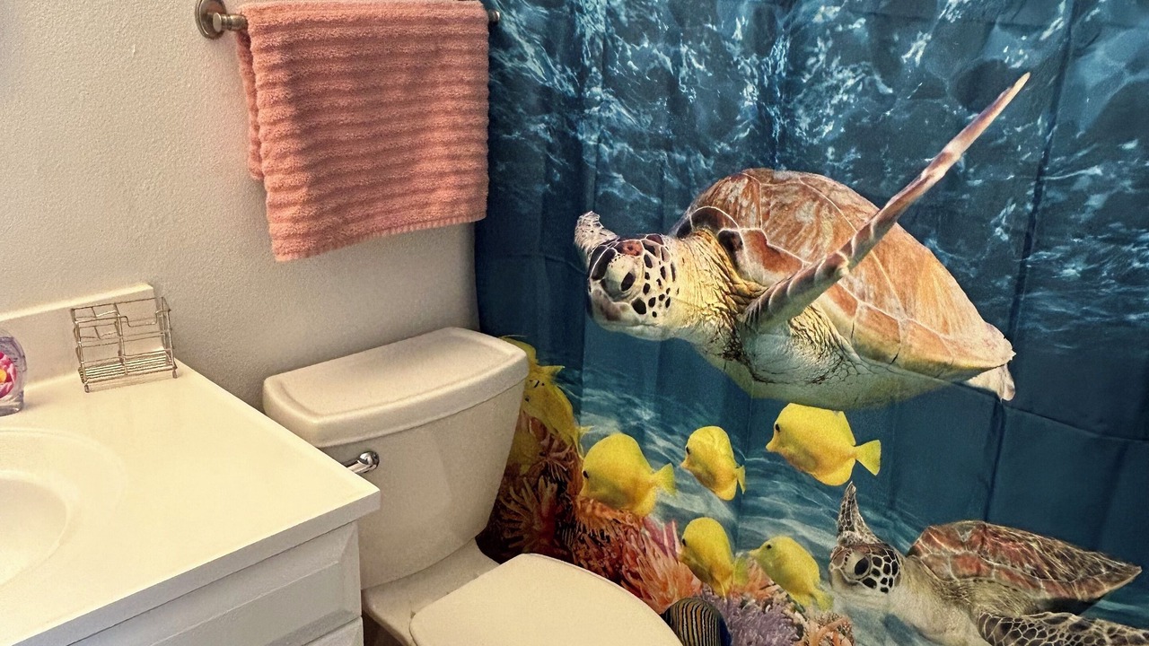 Photo of Bathroom in Sarasota Springs