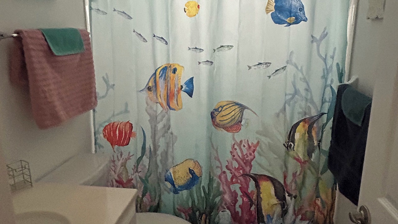 Photo of Bathroom in Sarasota Springs