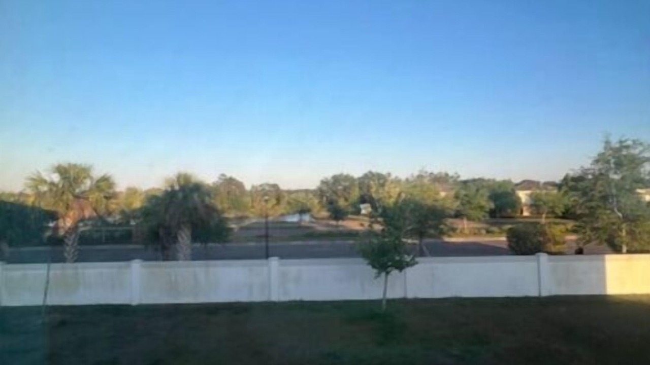 Photo of Outdoor in Wesley Chapel