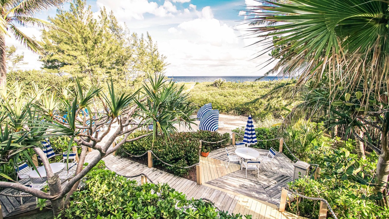 Photo of Others in Florida North Atlantic Coast