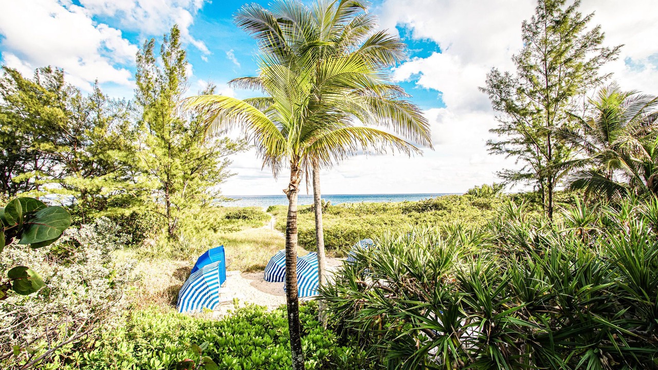 Photo of Others in Florida North Atlantic Coast