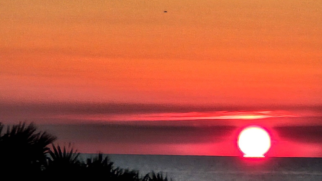 Photo of Others in Ormond-by-the-Sea
