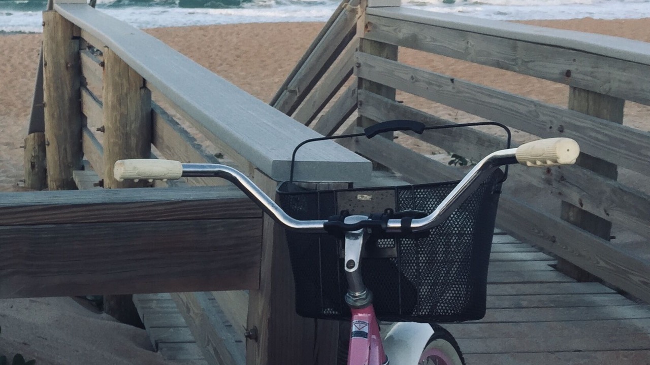 Photo of Others in Ormond-by-the-Sea