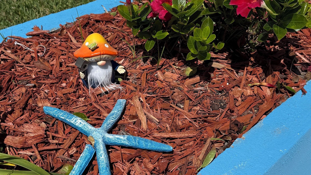 Photo of Outdoor in Ormond-by-the-Sea