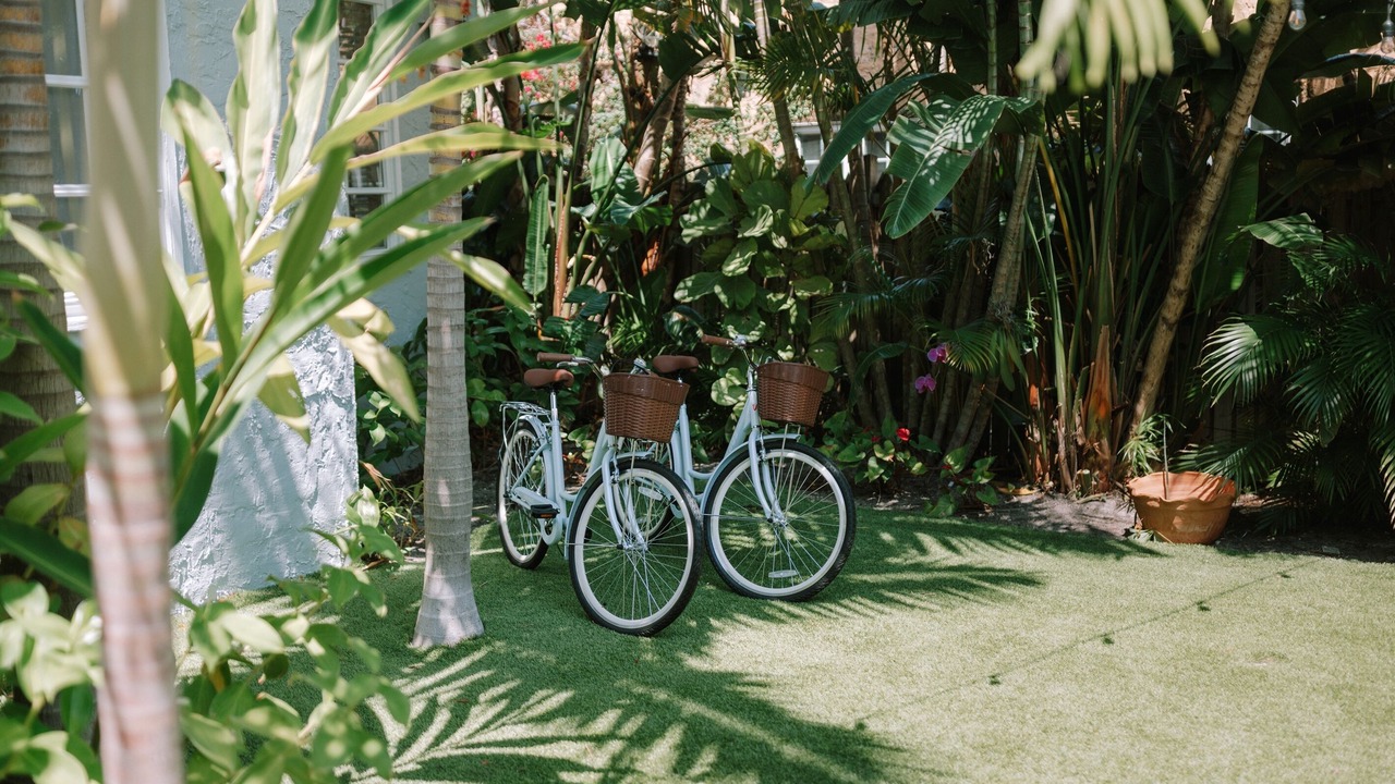 Photo of Others in Palm Beach - West Palm Beach