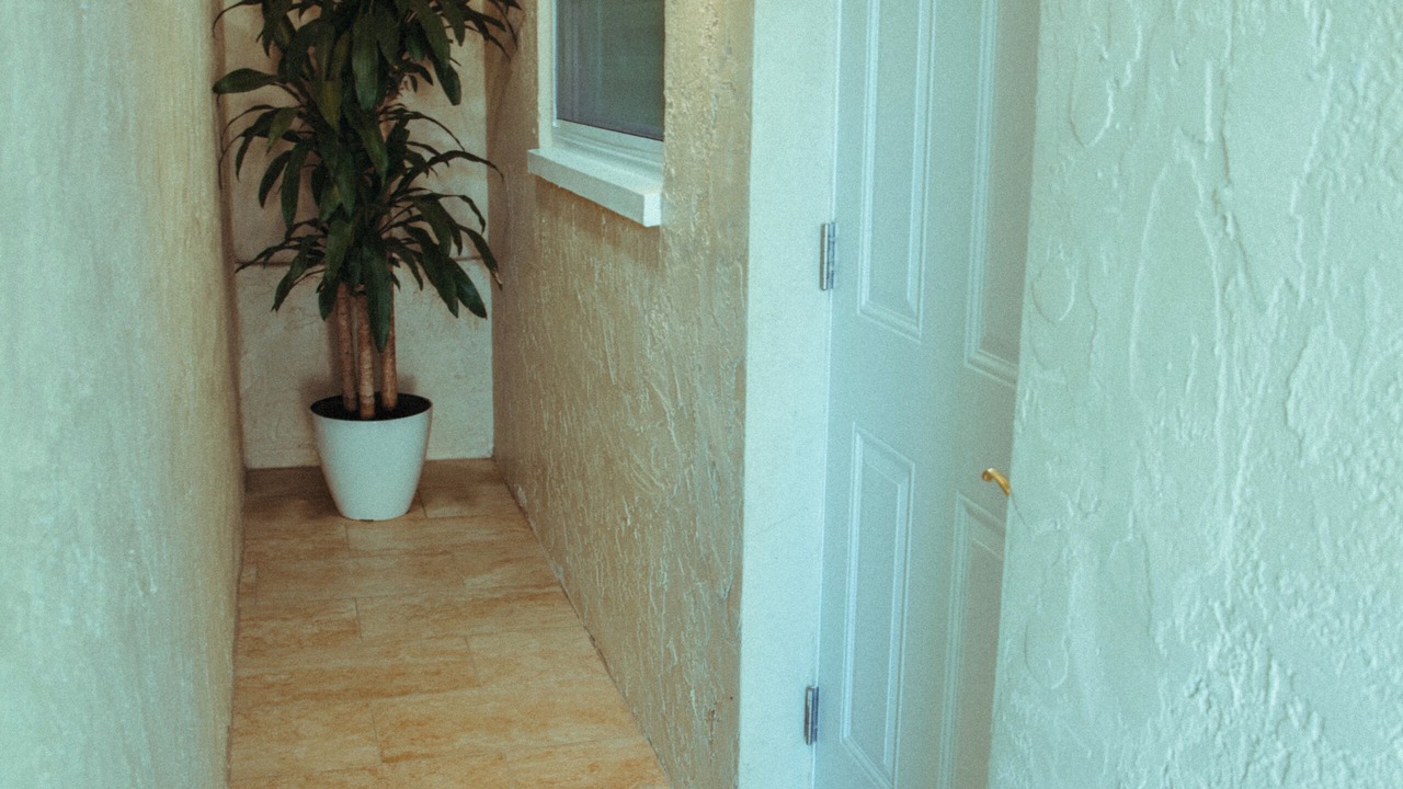 Photo of Others in San Carlos Park