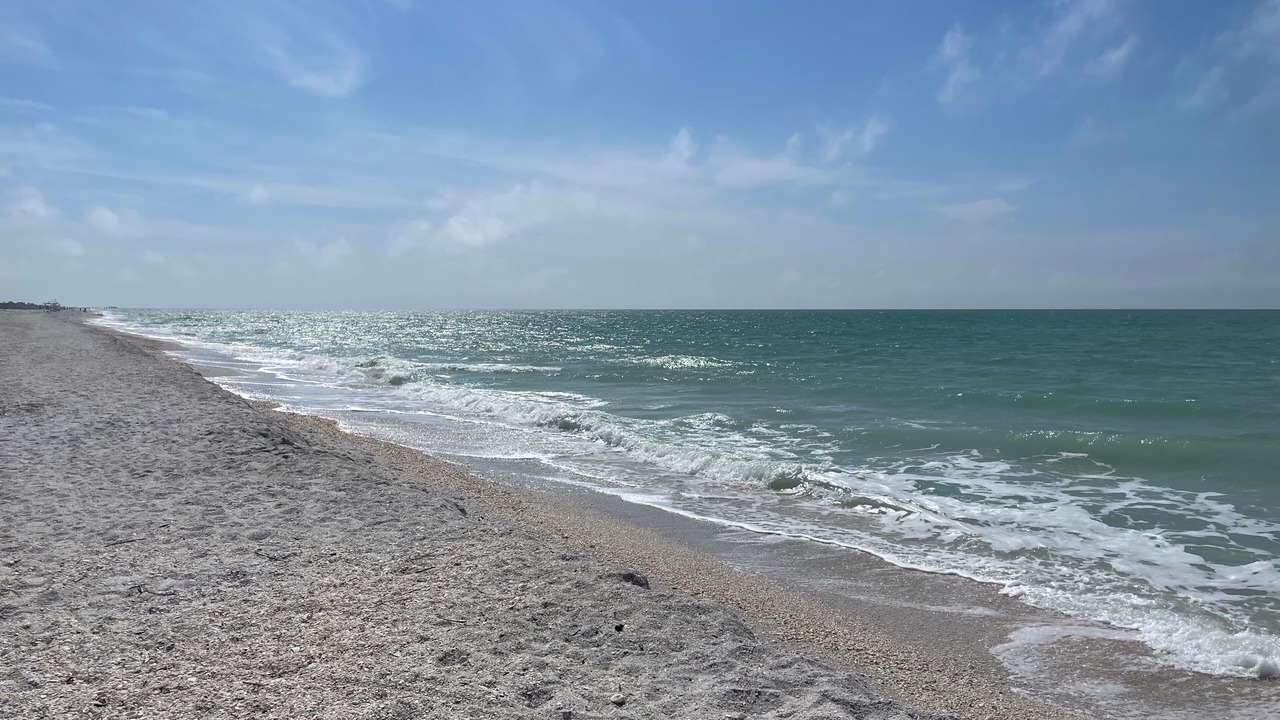 Photo of Others in Boca Grande