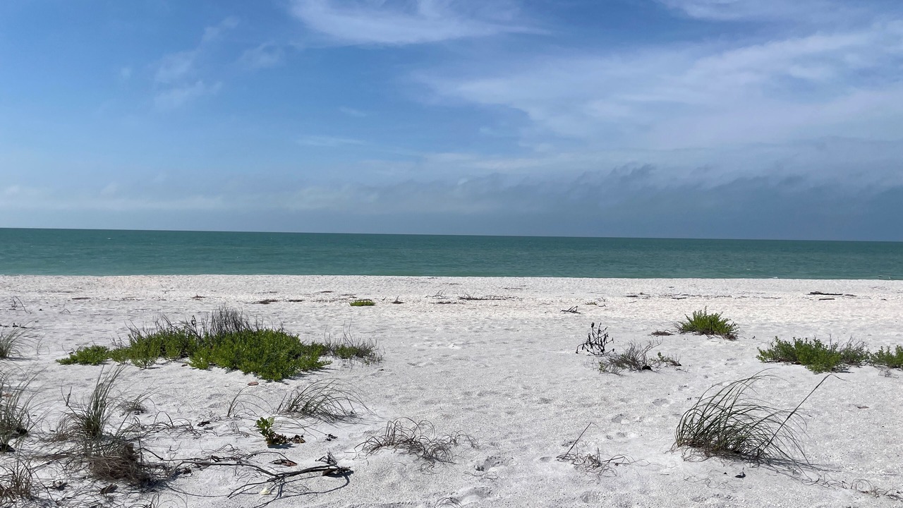 Photo of Others in Boca Grande