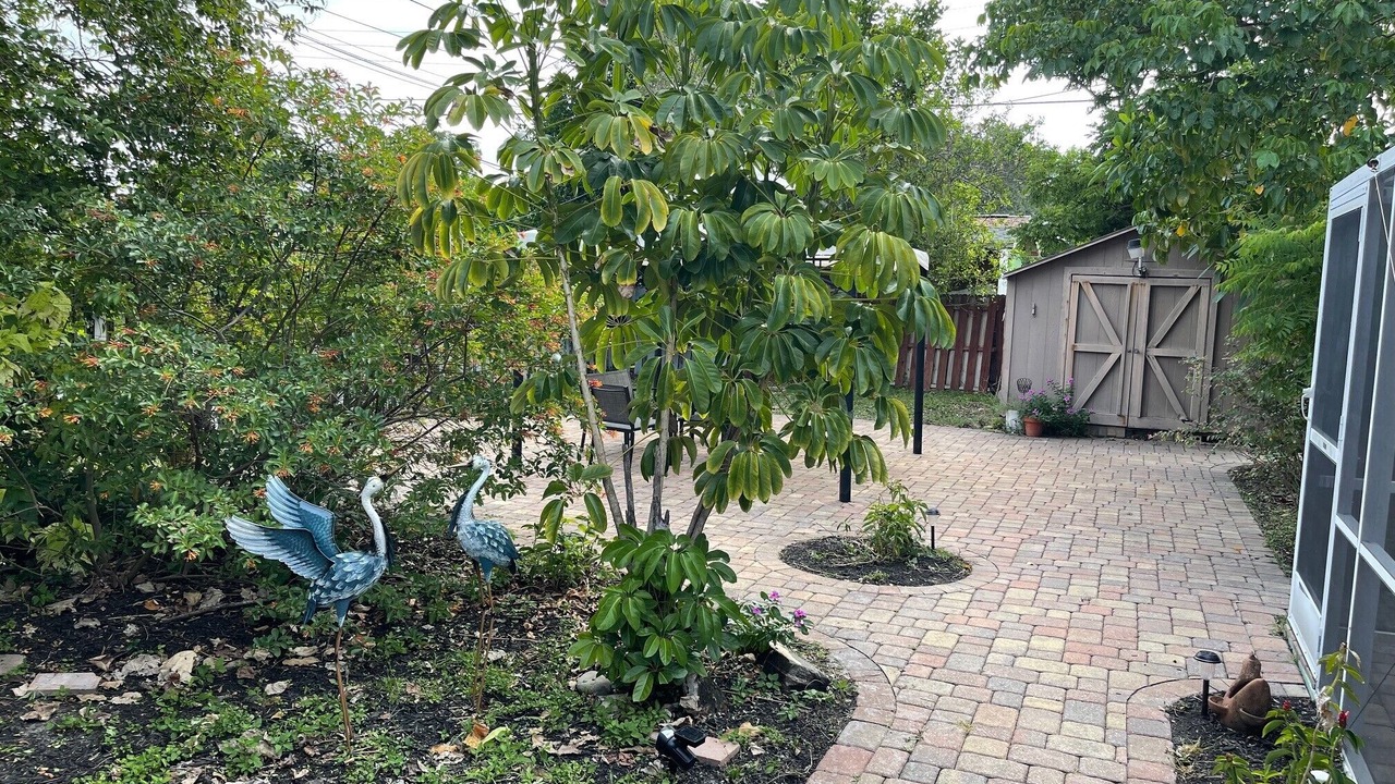 Photo of Outdoor in Bayshore Gardens
