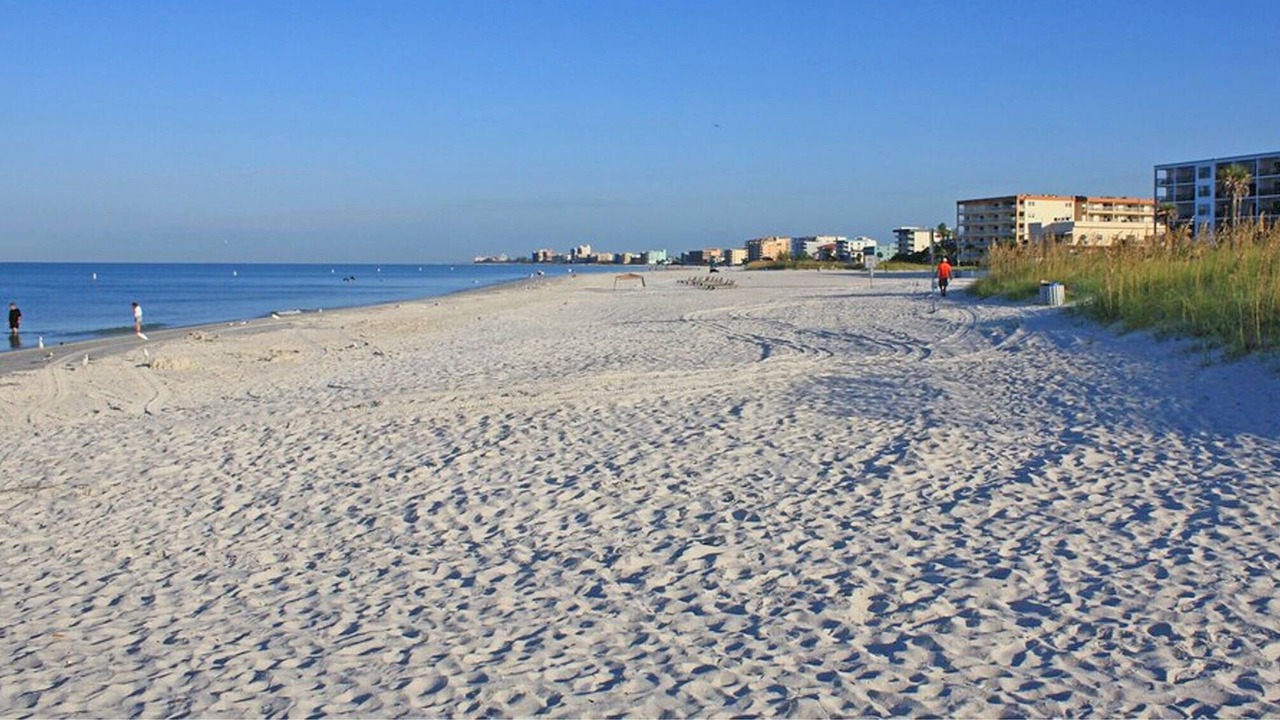 Photo of Others in Madeira Beach