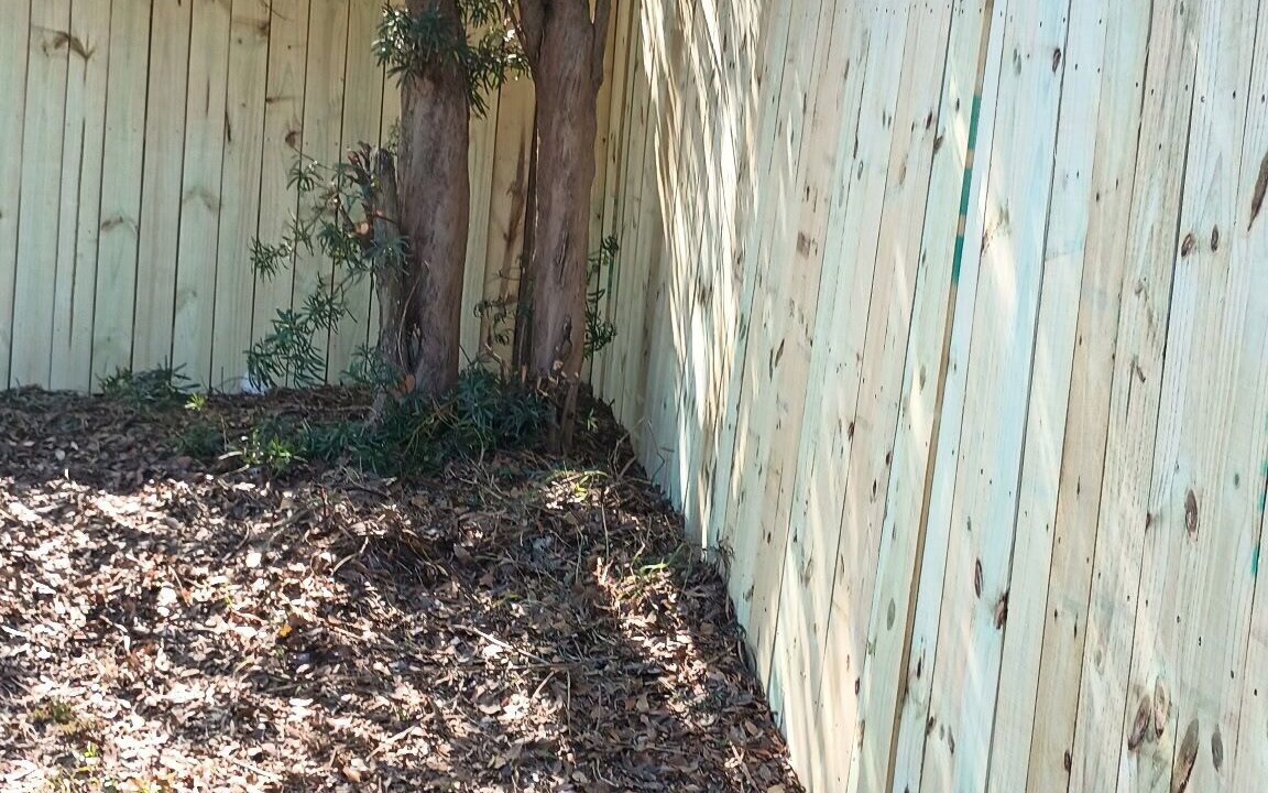 Photo of Outdoor in Lockhart