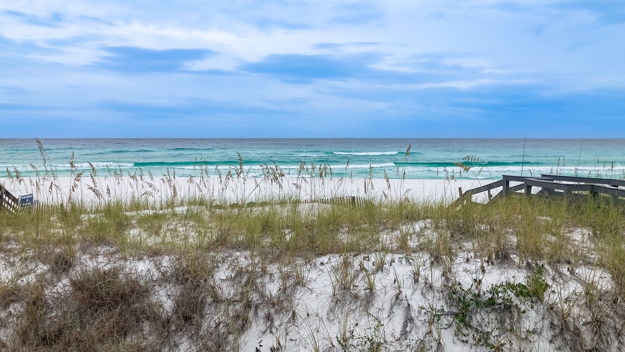 Photo of Others in Gulf Pines