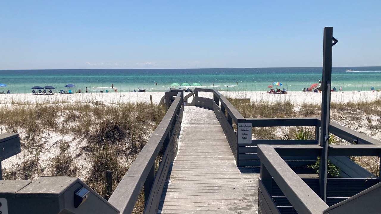 Photo of Others in Gulf Pines
