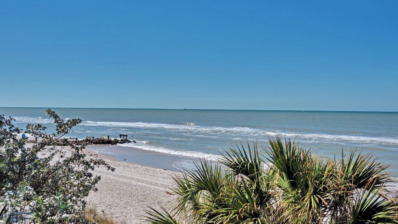 Photo of Others in Coquina Sands