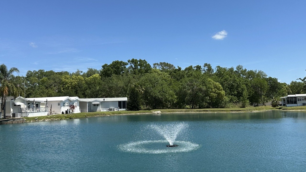 Photo of Others in Zephyrhills South