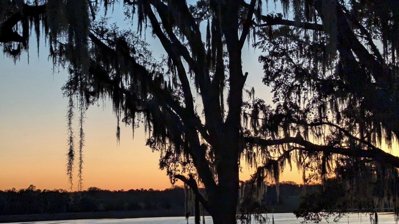 Photo of Others in Dunnellon