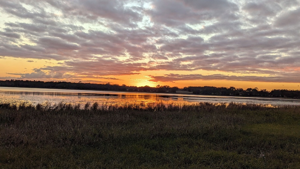 Photo of Others in Dunnellon