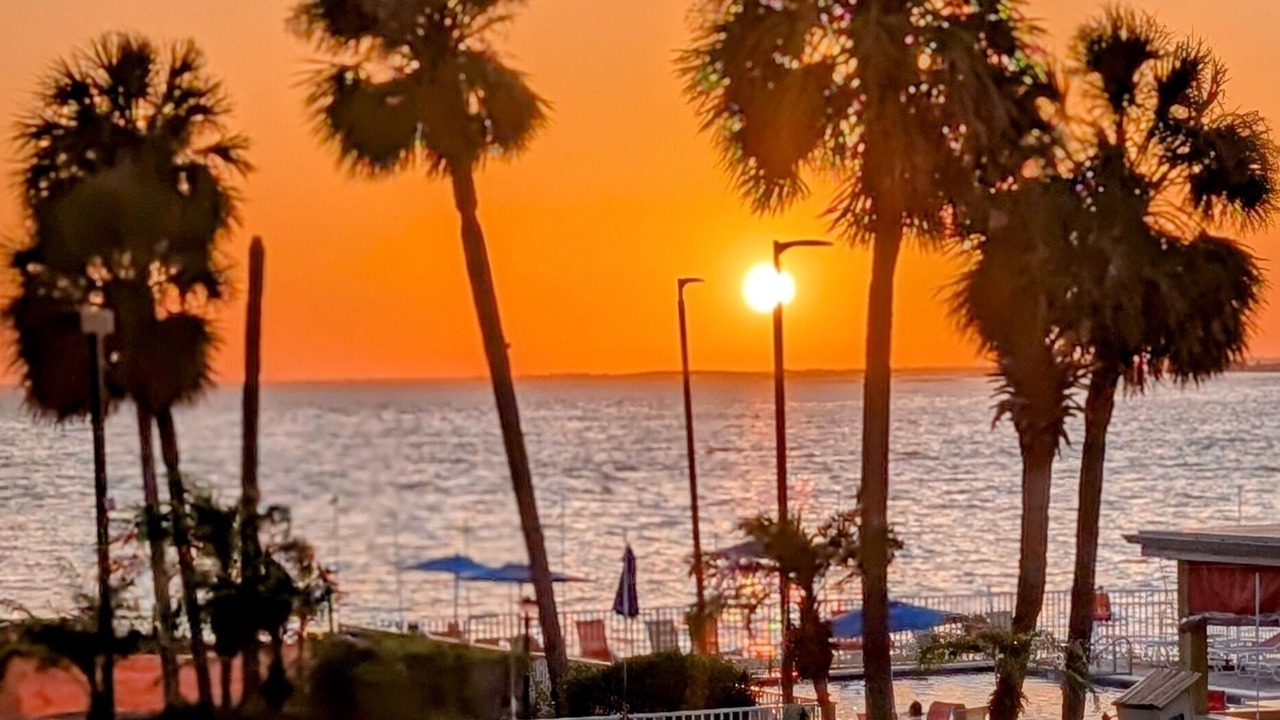 Photo of Others in Rocky Point